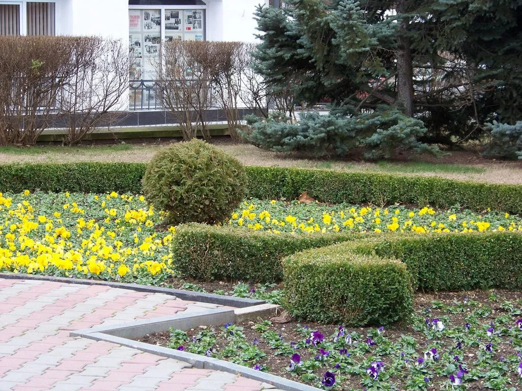 Чайная беседка