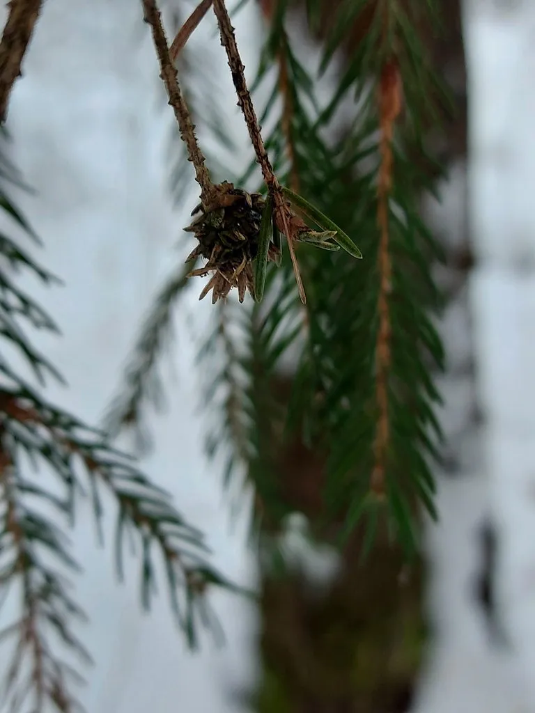 Tapтaлeтки & Ко