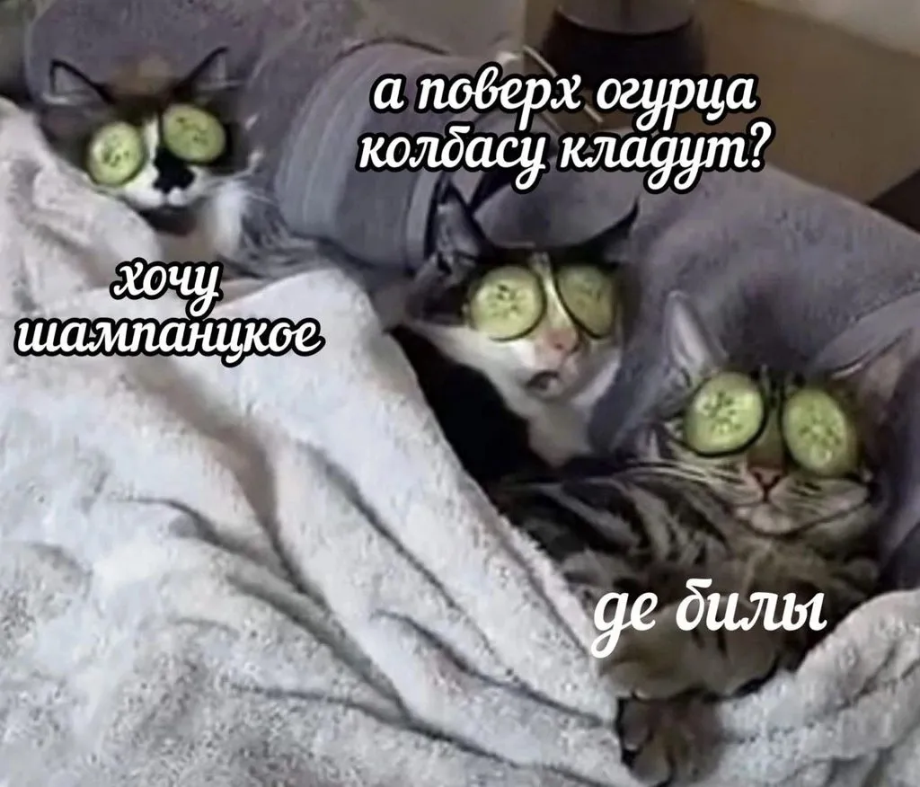 Кошичкина полиция