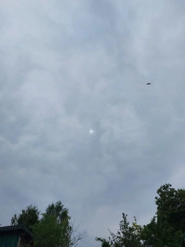 Такое разное небо