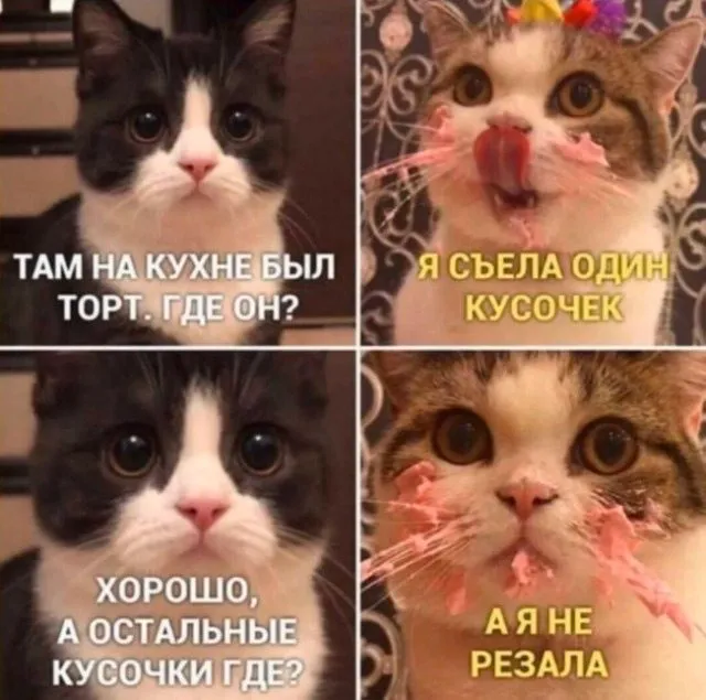 Позитивчик (фото, видео, рассказы для хорошего настроения)