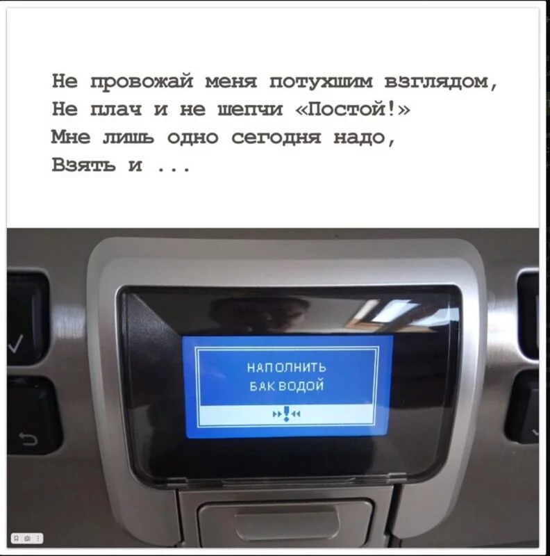 Всюду рифмы