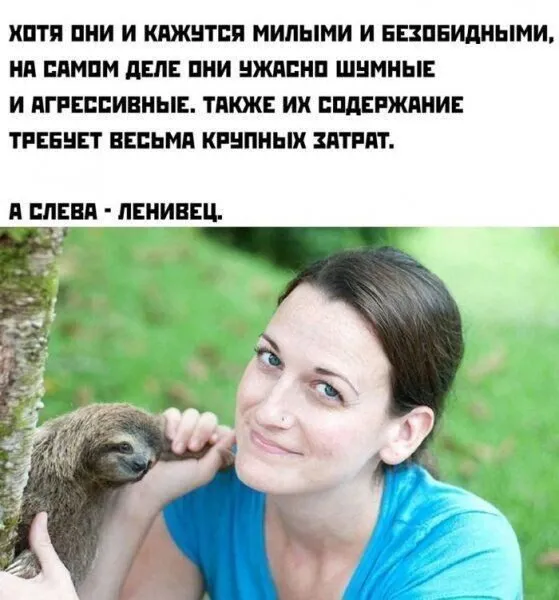 Посмеялся сам - поделись с другом!!!