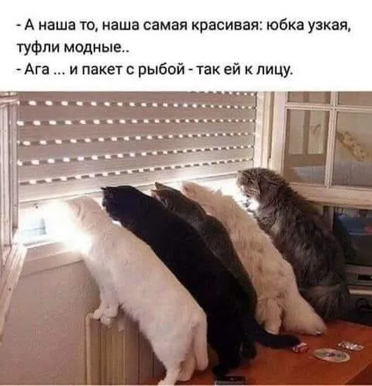 Кафе «У пани Сони»