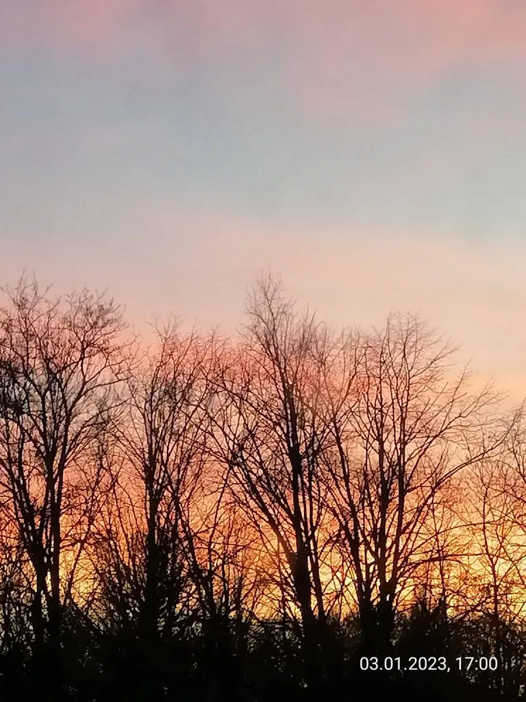 Такое разное небо