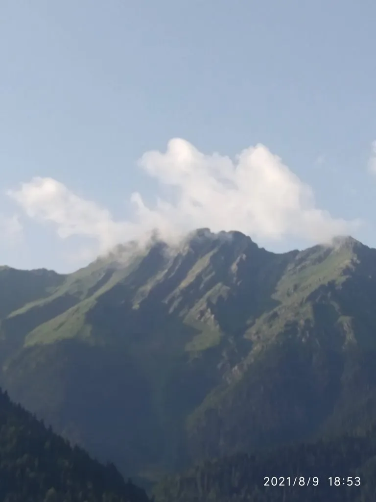 Tapтaлeтки & Ко