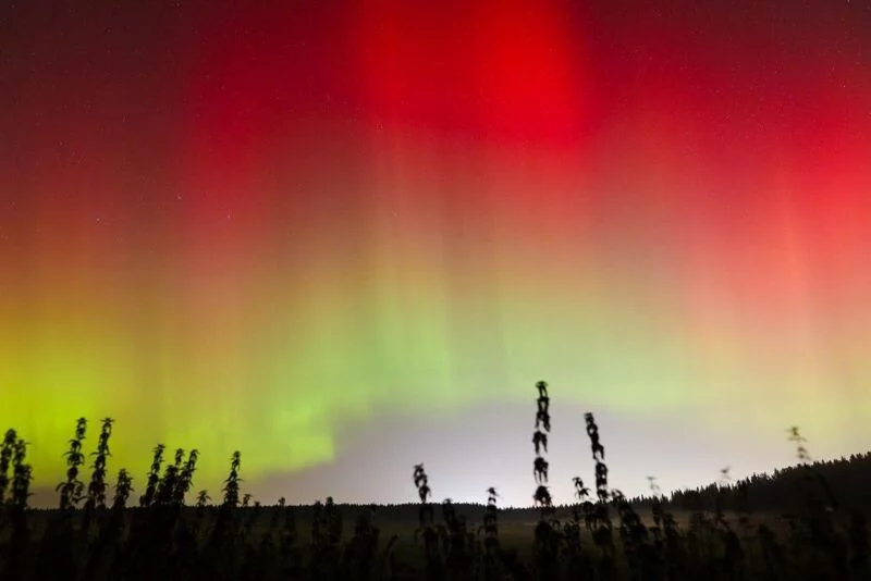 Такое разное небо