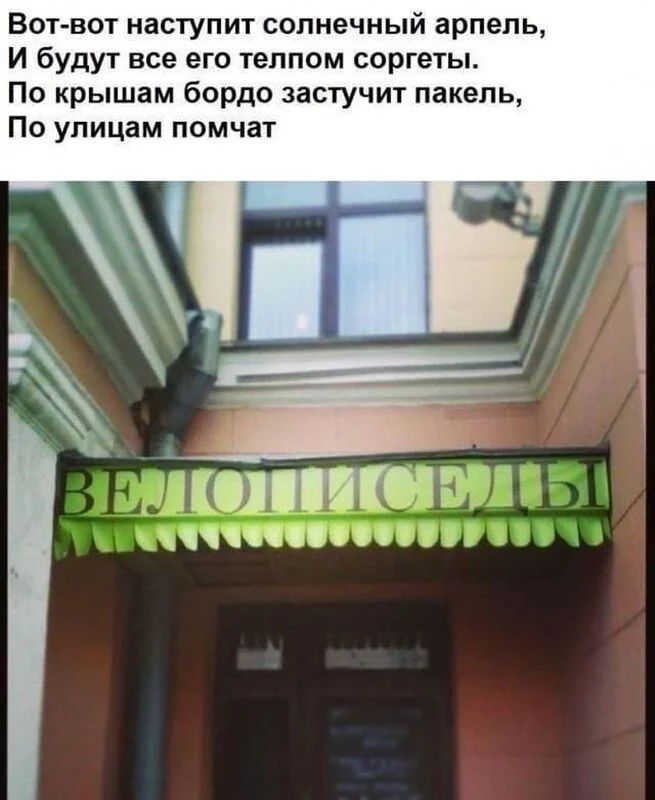 Всюду рифмы