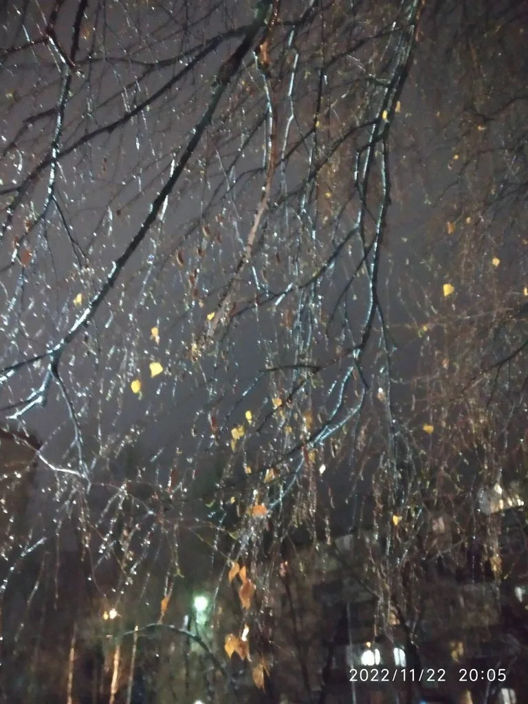 Чайная беседка