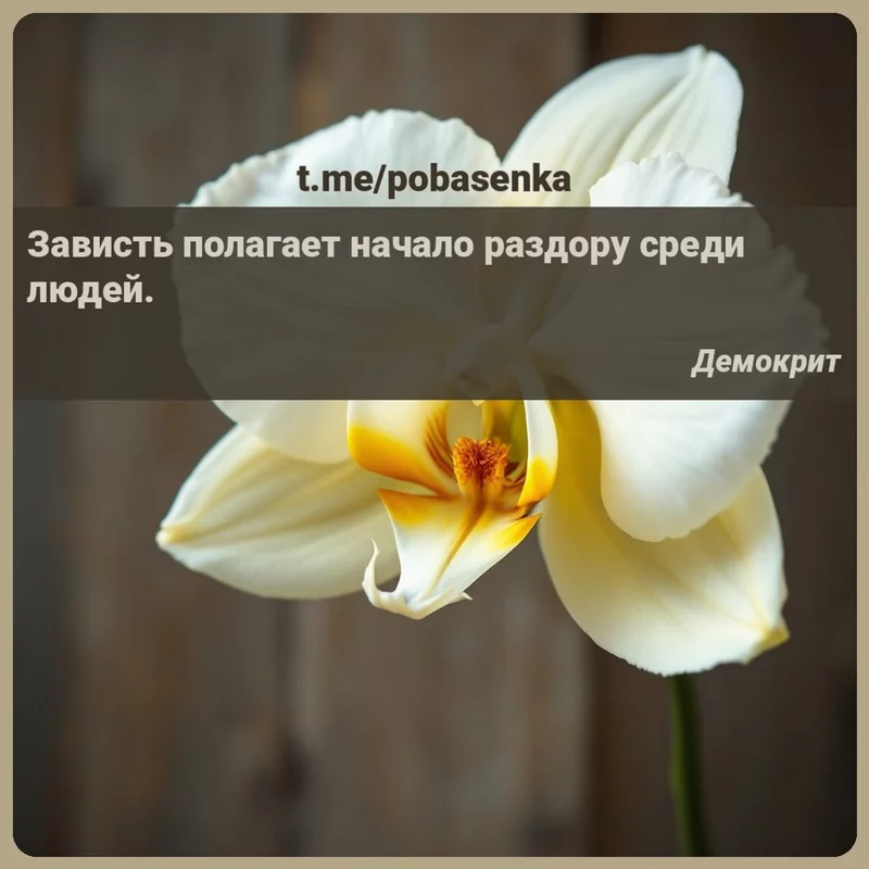«Зависть полагает начало раздору среди...» height="550" width="550"