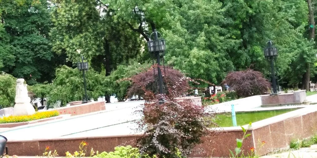 Tapтaлeтки & Ко