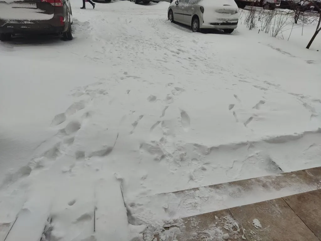 Tapтaлeтки & Ко