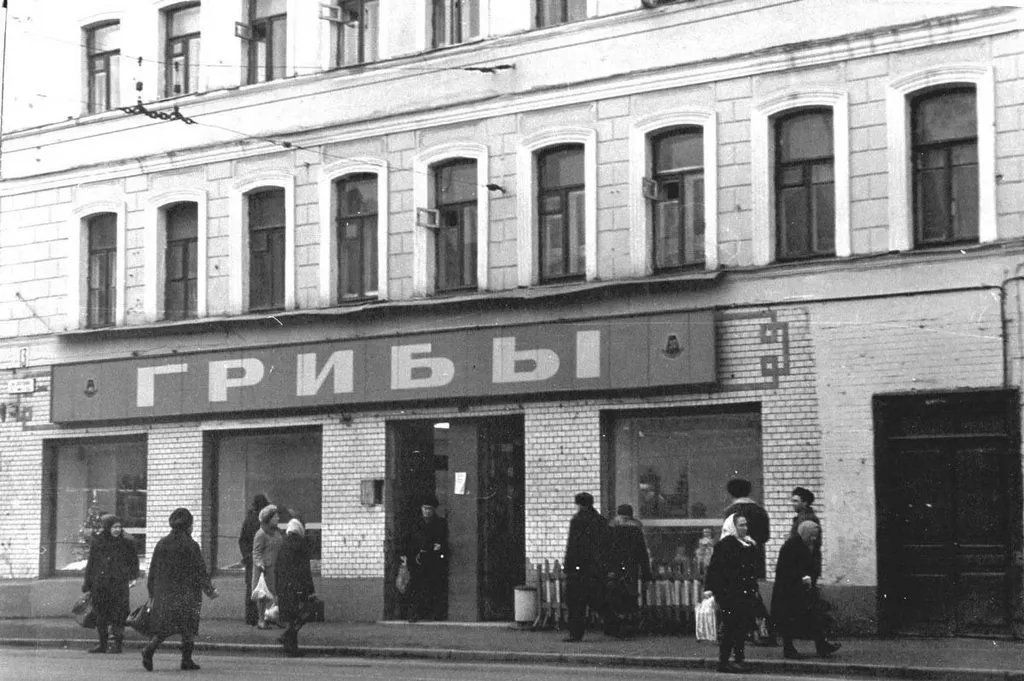 Запечатленная история