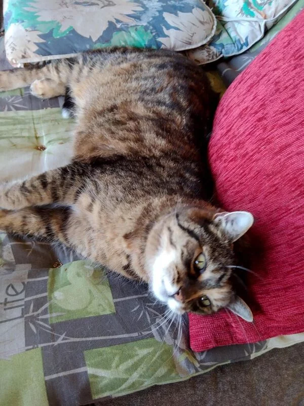 Посмеялся сам - поделись с другом!!!