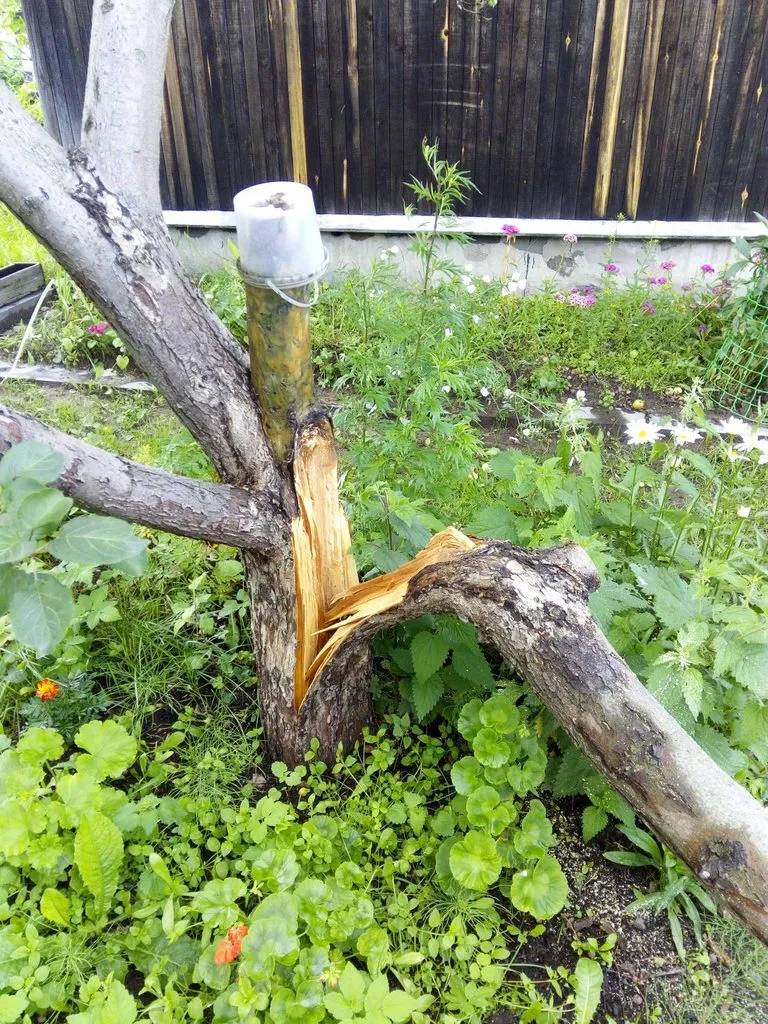 Чайная беседка