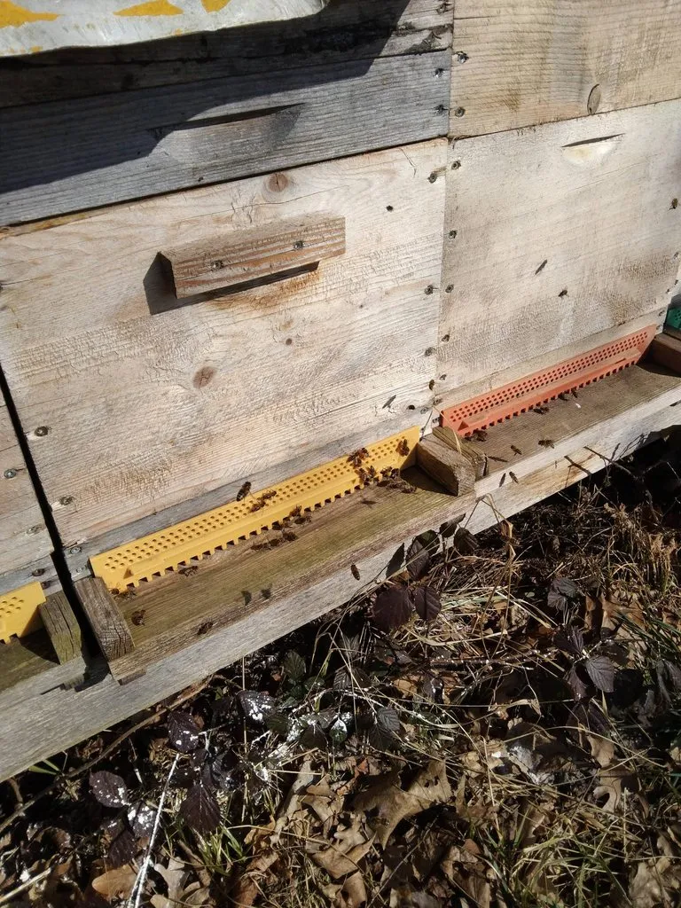 Чайная беседка