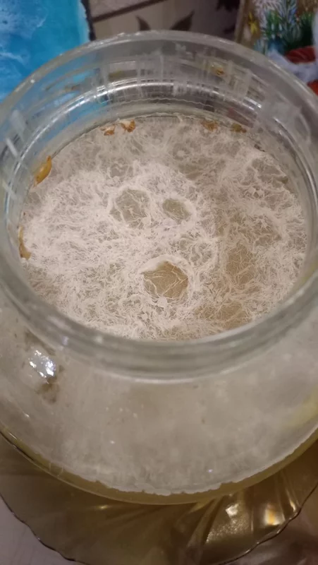 Кисель овсяный заквашенный