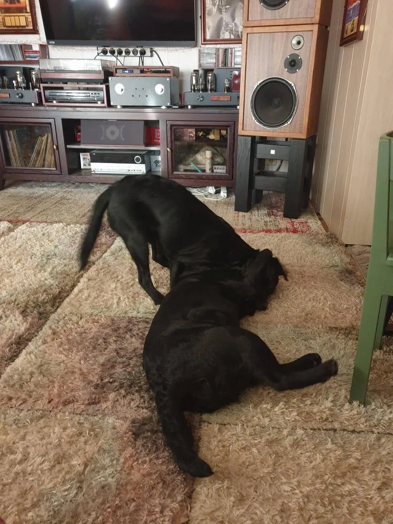 Чайная беседка