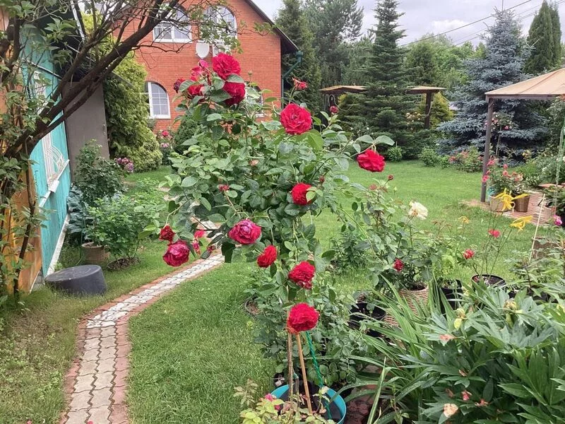 Загородная жизнь - обустройство на своей земле во всем ее разнообразии