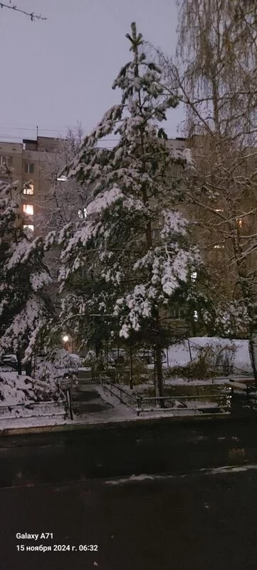 Чайная беседка