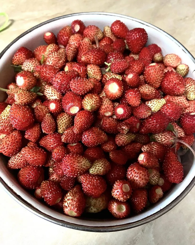 Про всё на свете с Гюзелью