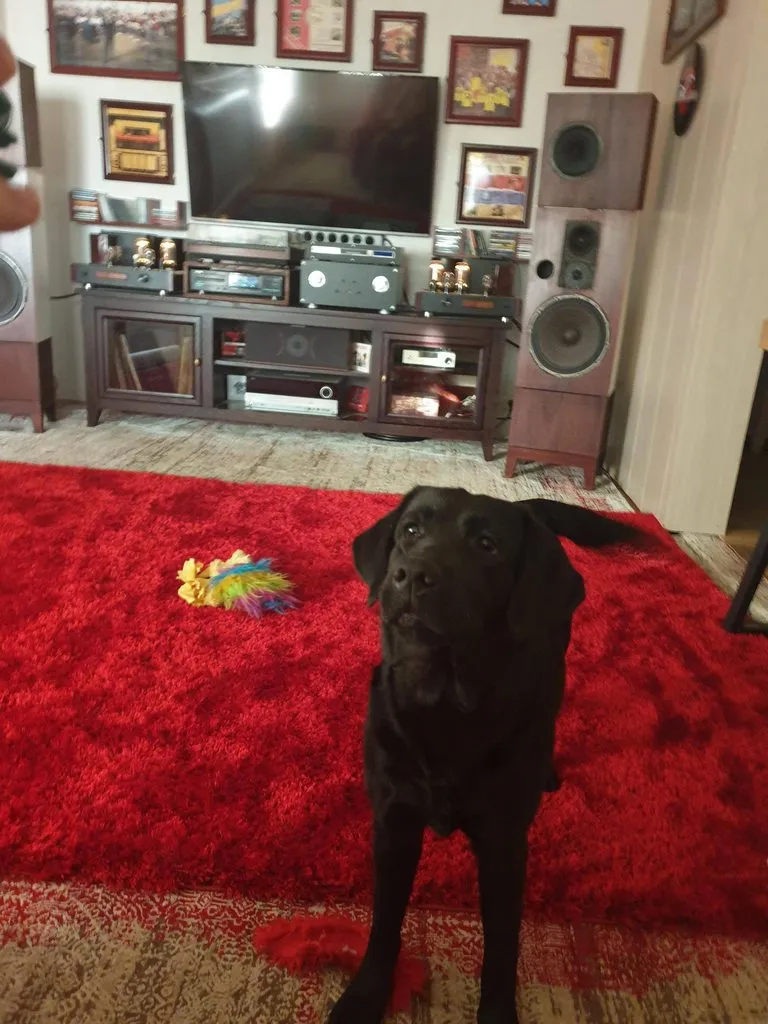 Чайная беседка