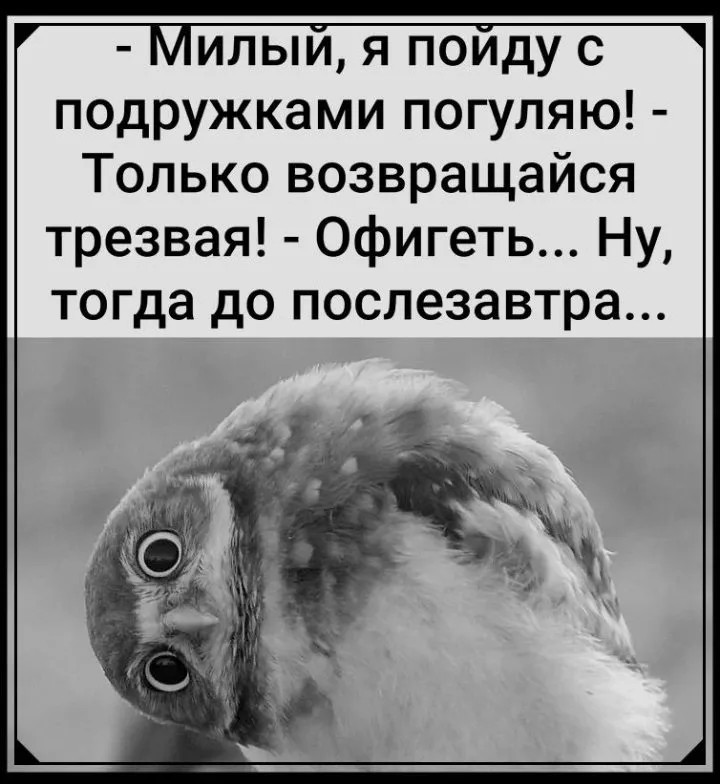 Посмеялся сам - поделись с другом!!!