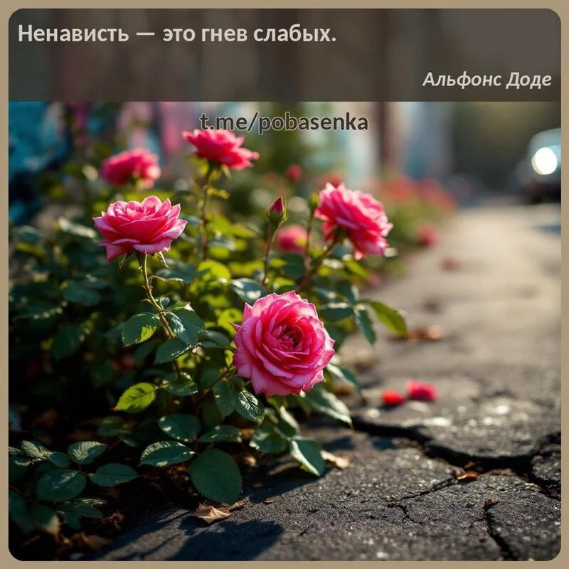«Ненависть — это гнев...» height="550" width="550"
