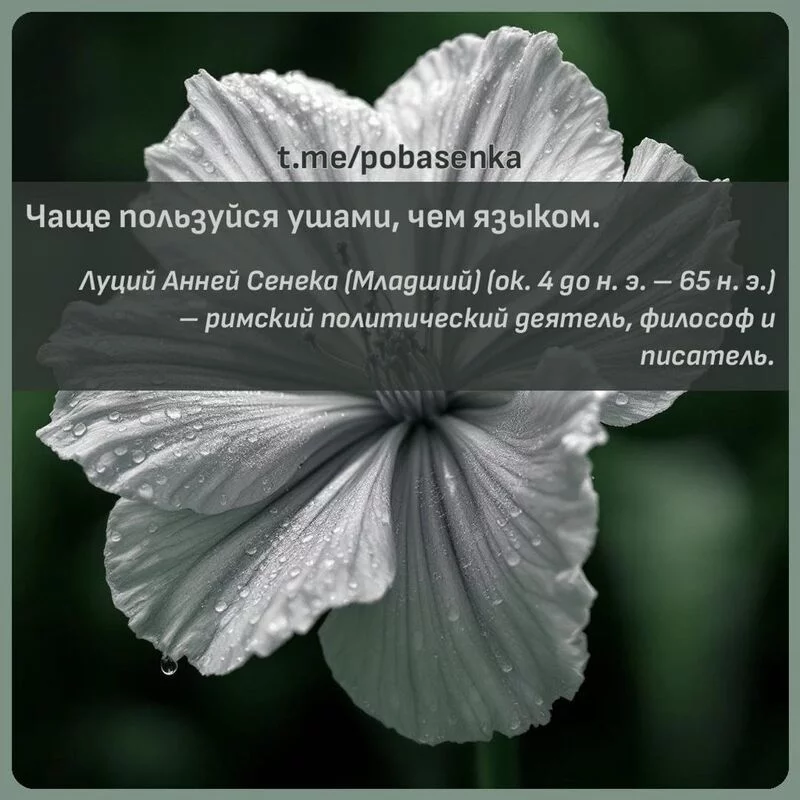 «Чаще пользуйся ушами, чем...» height="550" width="550"