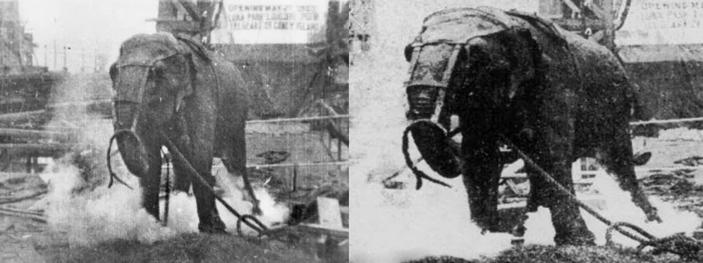Запечатленная история