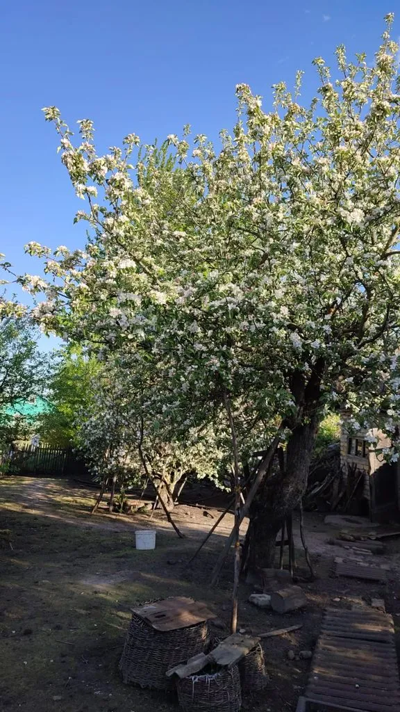 Чайная беседка