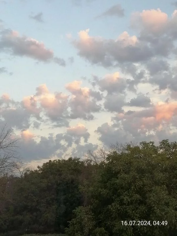 Такое разное небо