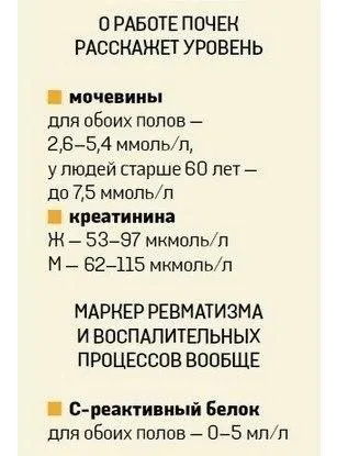 Медицинская инфографика