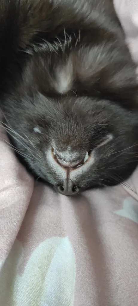 Посмеялся сам - поделись с другом!!!