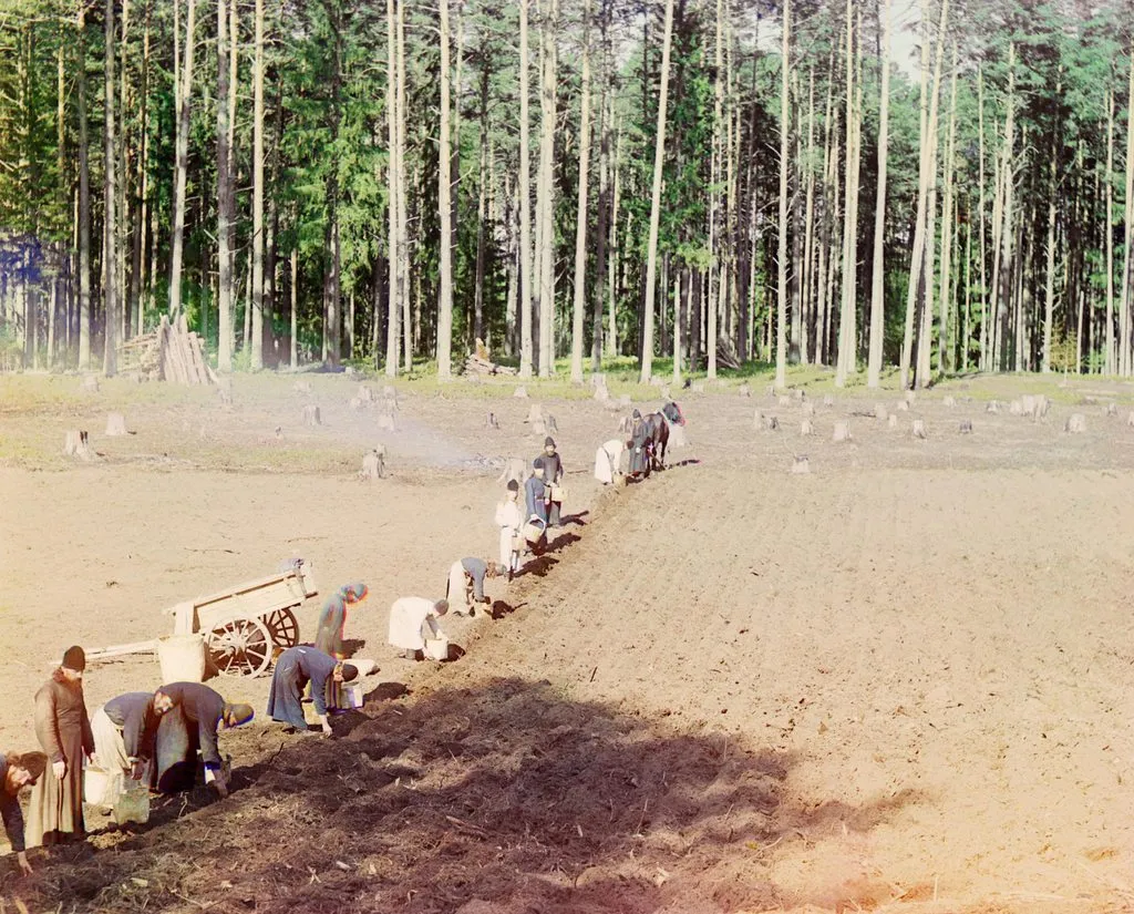 Запечатленная история