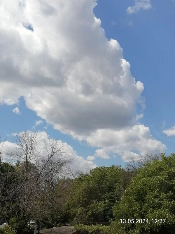 Такое разное небо