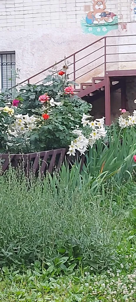 Чайная беседка