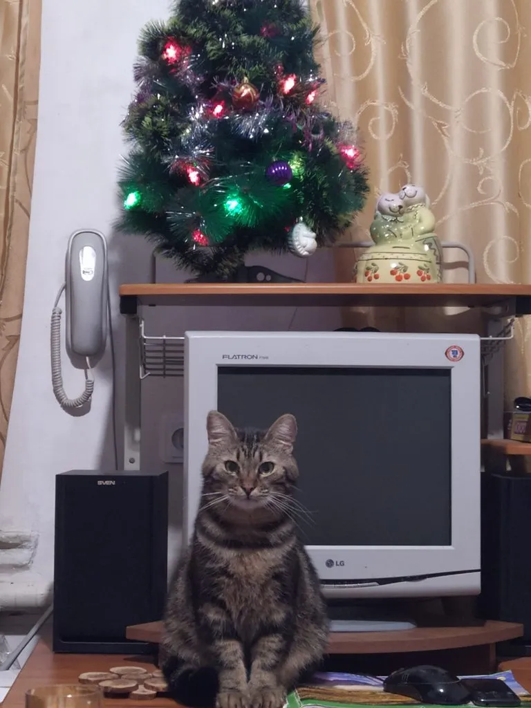 Чайная беседка