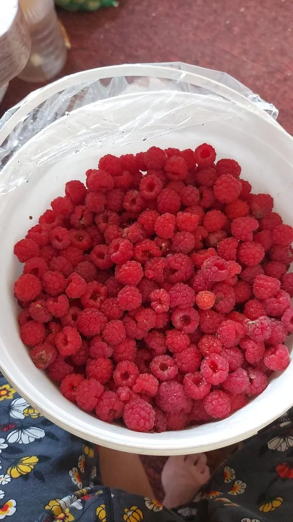 Чайная беседка