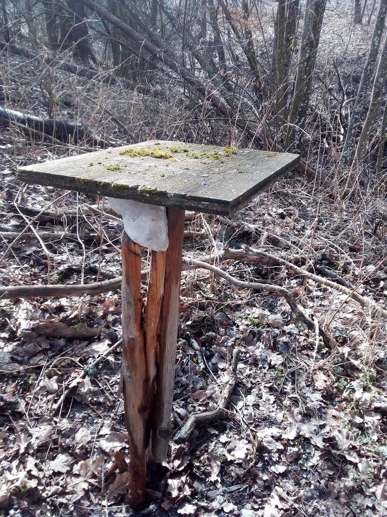 Чайная беседка