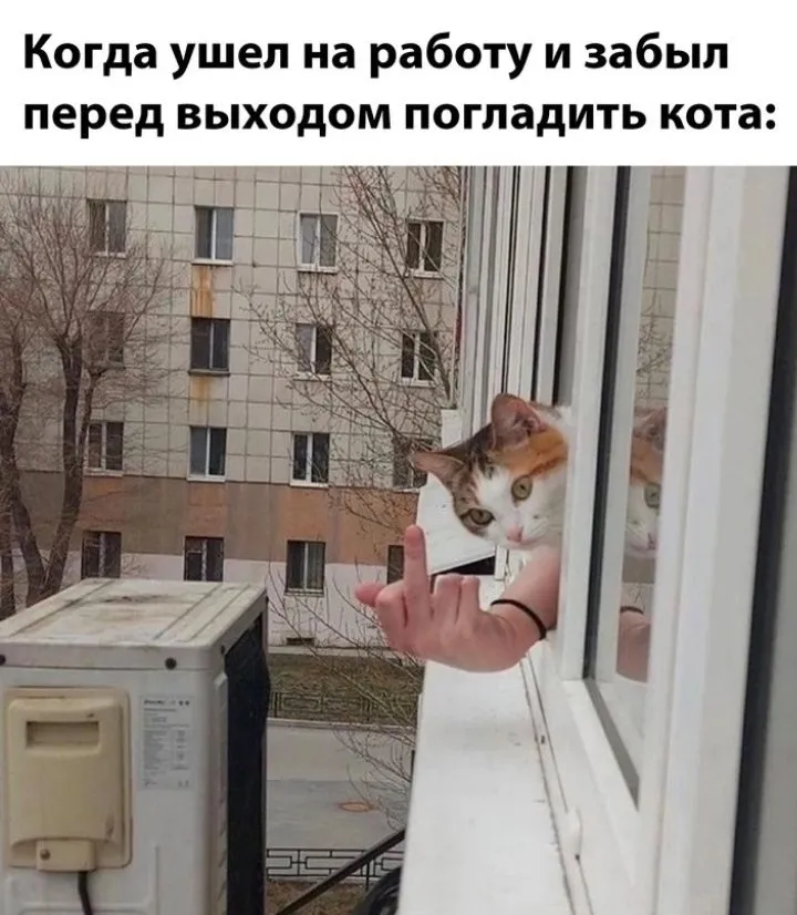 Кошичкина полиция