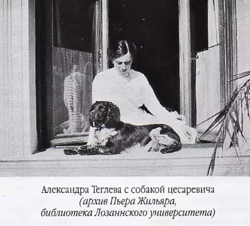 Селебрити-лайф