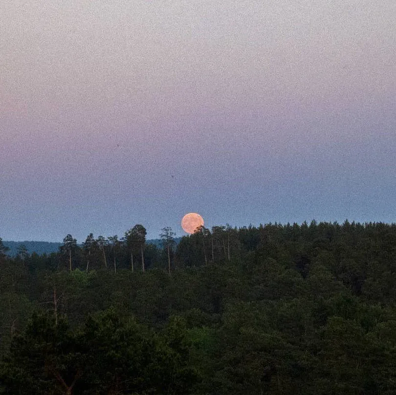 Такое разное небо