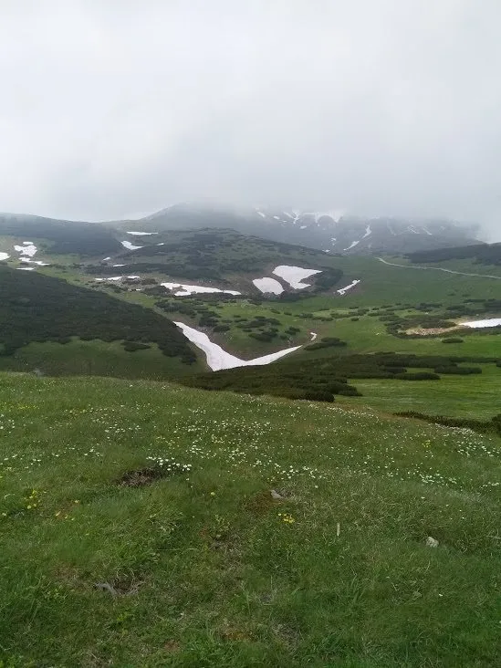 Чайная беседка