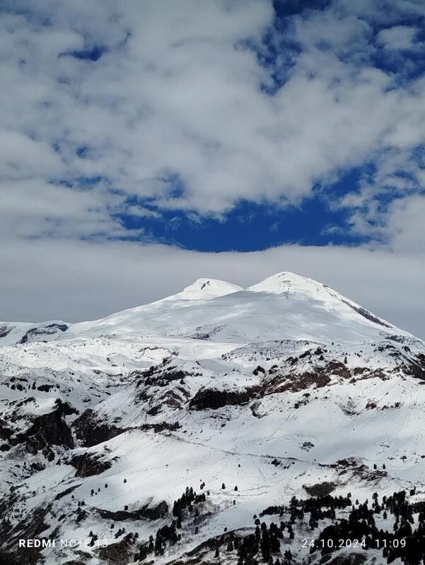 Чайная беседка