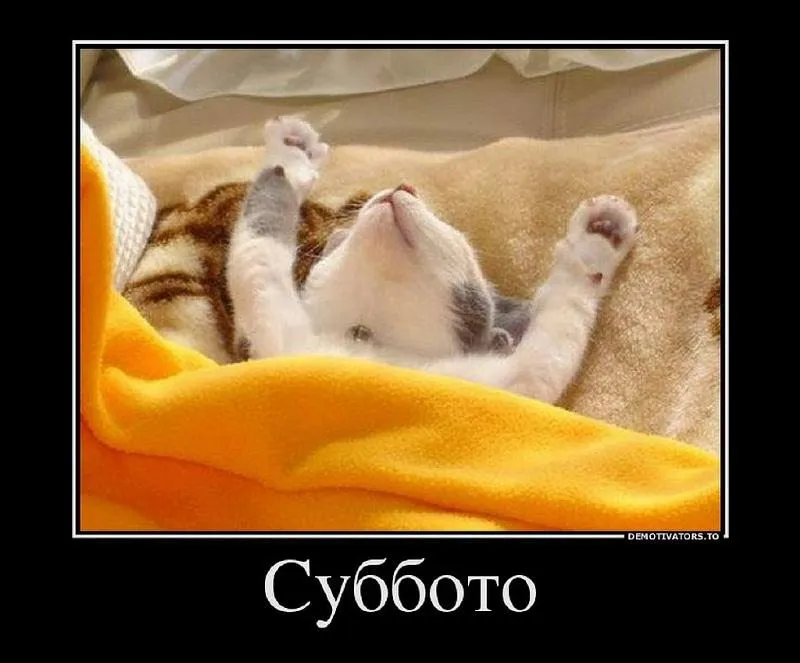 Кафе «У пани Сони»