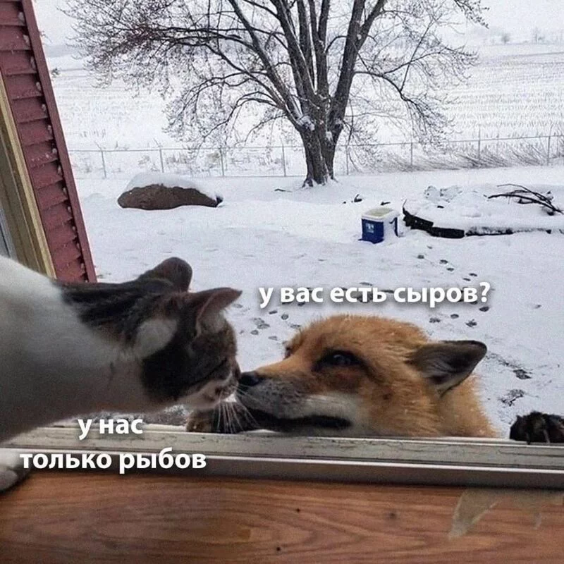 Посмеялся сам - поделись с другом!!!
