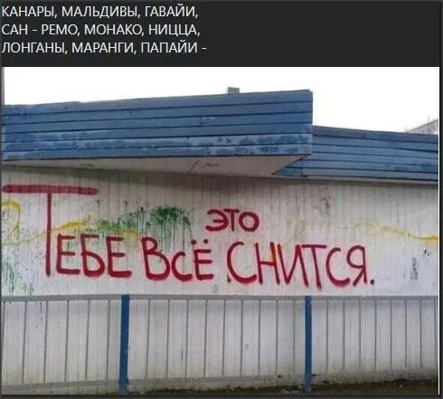 Всюду рифмы