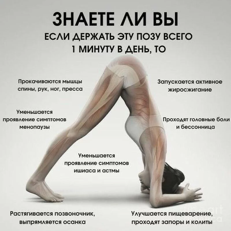 Медицинская инфографика