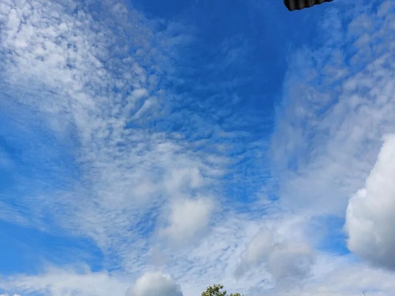 Такое разное небо